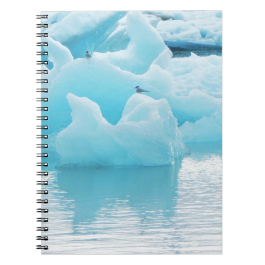 Jökulsárlón sterns notitieboek (Voorkant)