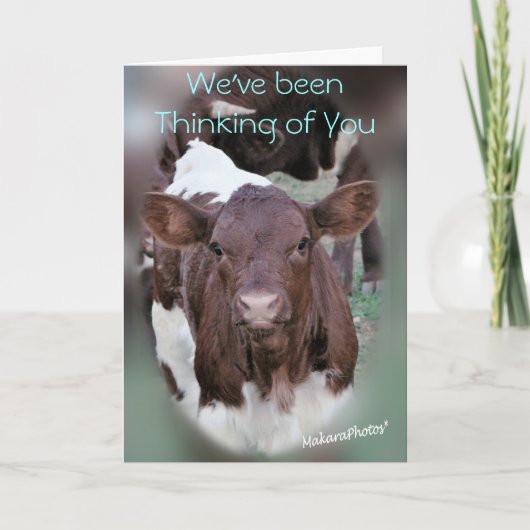 JolCrd-GetWell of sympathie-past aan Kaart (Voorkant)