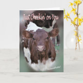 Jolee- Denken aan Jou- of andere gelegenheden- aan Kaart (Gele Bloem)