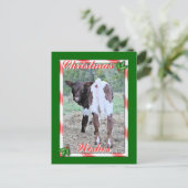 JoleeChristmasPcard-pas aan Feestdagenkaart (Staand voorkant)
