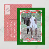 JoleeChristmasPcard-pas aan Feestdagenkaart (Voorkant / Achterkant)