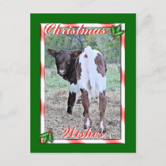 JoleeChristmasPcard-pas aan Feestdagenkaart (Voorkant)