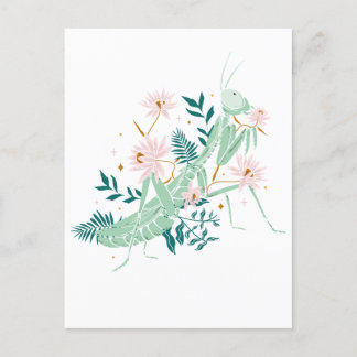 JOLIE SAUTERELLE BRIEFKAART