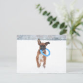 Jolie speelt frizbee in de sneeuw briefkaart (Staand voorkant)