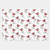 Jolly Birdies - Inpakpapier Vel (Voorkant 2)