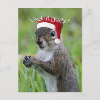 Jolly Florida Santa Squirrel™ met Santa Hat Feestdagenkaart