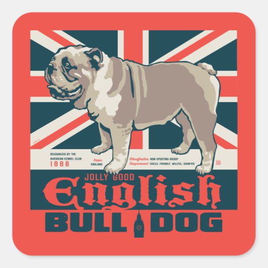 Jolly Goede Engelse Bulldog Vierkante Sticker (Voorkant)