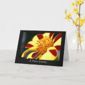 Jolly Jester Marigold - in diepste sympathie Kaart (Gele Bloem)