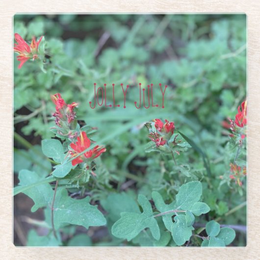 JOLLY JULY GLAZEN ONDERZETTER (Voorkant)