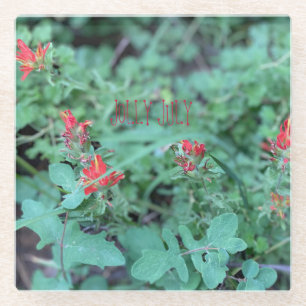 JOLLY JULY GLAZEN ONDERZETTER