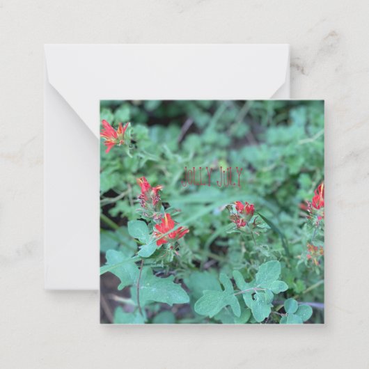 JOLLY JULY NOTITIEKAARTJE (Voorkant)