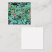 JOLLY JULY NOTITIEKAARTJE (Voorkant / Achterkant)