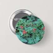 JOLLY JULY RONDE BUTTON 5,7 CM (Voorkant /achterkant)