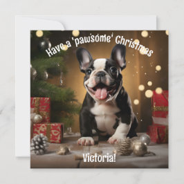 Jolly Paws & Cadeaus