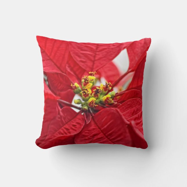 Jolly Red Kussen (Voorkant)