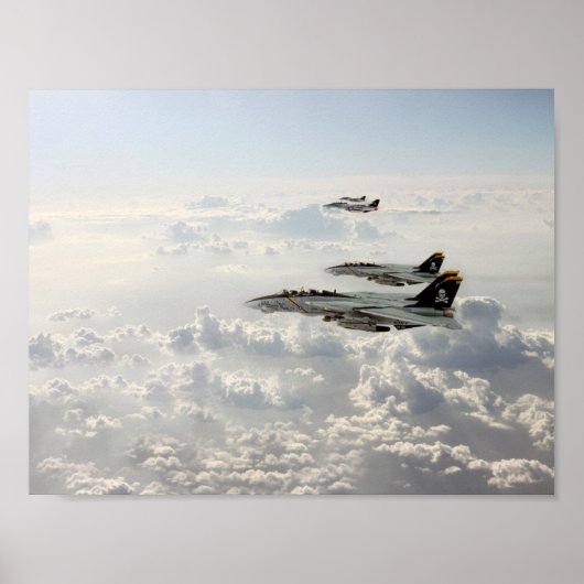 Jolly Rogers Poster (Voorkant)