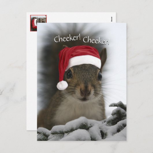 Jolly Squirrel Dearing Santa Hat · Santa Squirrel Feestdagenkaart (Voorkant / Achterkant)