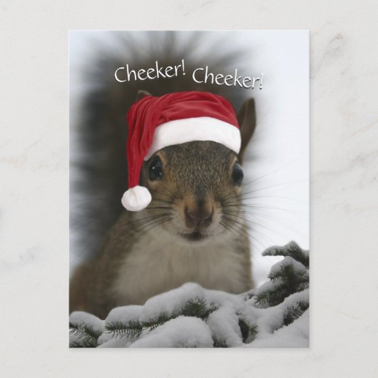 Jolly Squirrel Dearing Santa Hat · Santa Squirrel Feestdagenkaart (Voorkant)