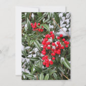 Jolly Winter Berry Kerstseizoen wenskaart (Voorkant)