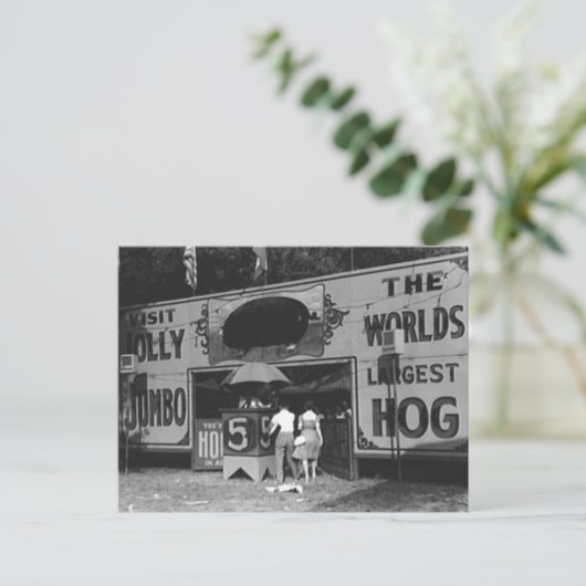 Jolly World's Grootste Hog  Carnaval Foto Feestdagenkaart (Staand voorkant)