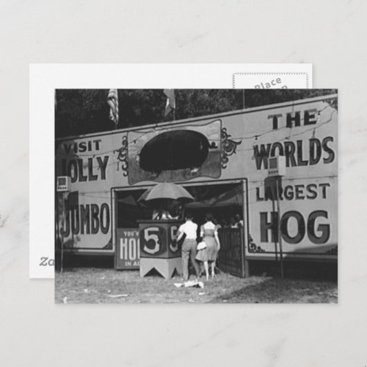 Jolly World's Grootste Hog  Carnaval Foto Feestdagenkaart (Voorkant / Achterkant)