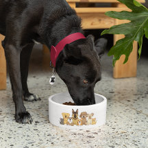 JollyKins Honden en katten