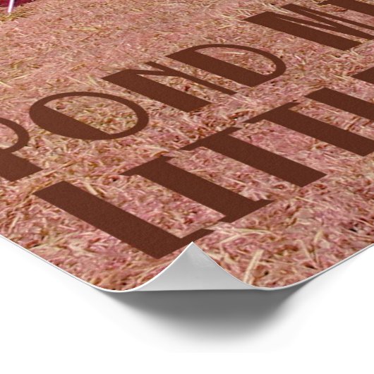 Jon Holtz Pond Mile 3 Poster (Hoek)