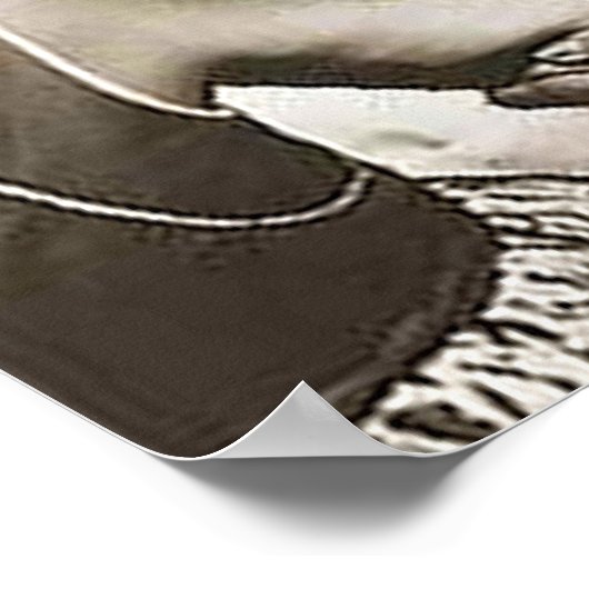 Jonas E. Salk, M.D. Poster (Hoek)