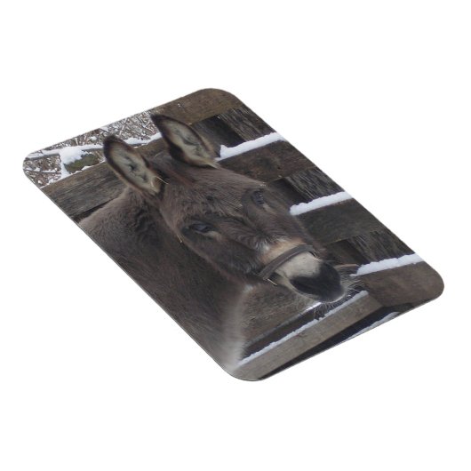 Jonathan Magneet (Rechterzijde)