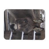 Jonathan Magneet (Horizontaal)