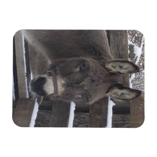 Jonathan Magneet (Horizontaal)