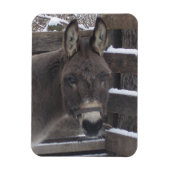 Jonathan Magneet (Verticaal)