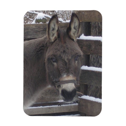 Jonathan Magneet (Verticaal)