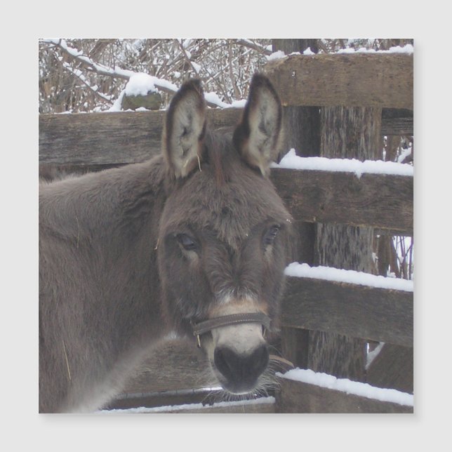 Jonathan Magnet (Voorkant)