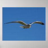 Jonathan Poster (Voorkant)