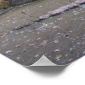 Jones Beach Gazebo Poster (Hoek)