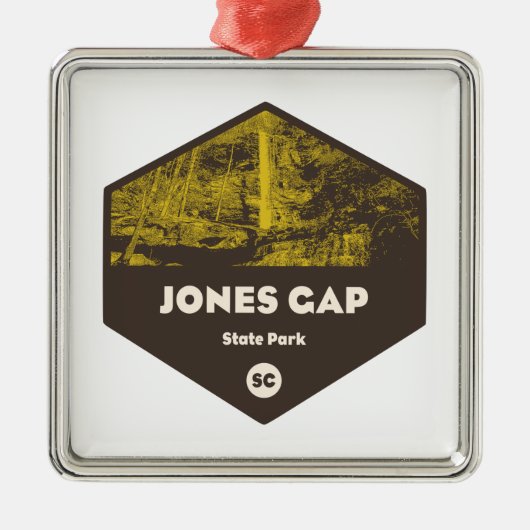 Jones Gap State Park South Carolina Metalen Ornament (Voorkant)