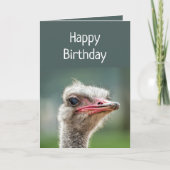 Jong, als je je bekommert om Ostrich Kaart (Voorkant)
