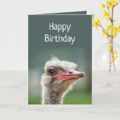 Jong, als je je bekommert om Ostrich Kaart (Gele Bloem)