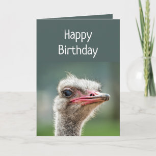 Jong, als je je bekommert om Ostrich Kaart