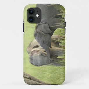 Jong dier van Indische / Aziatische Olifant Case-Mate iPhone Case
