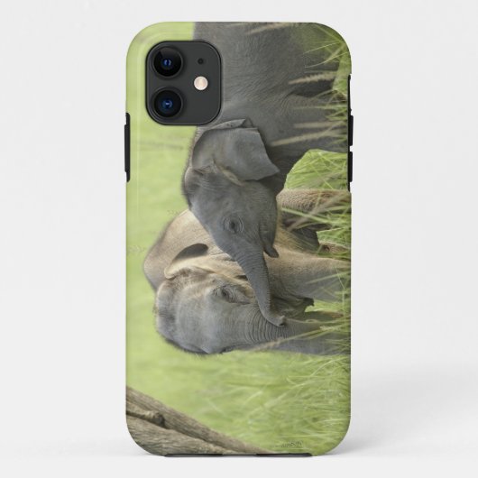 Jong dier van Indische / Aziatische Olifant Case-Mate iPhone Case (Achterkant)