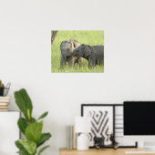 Jong dier van Indische / Aziatische olifant Poster (Thuiskantoor)
