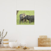Jong dier van Indische / Aziatische olifant Poster (Keuken)