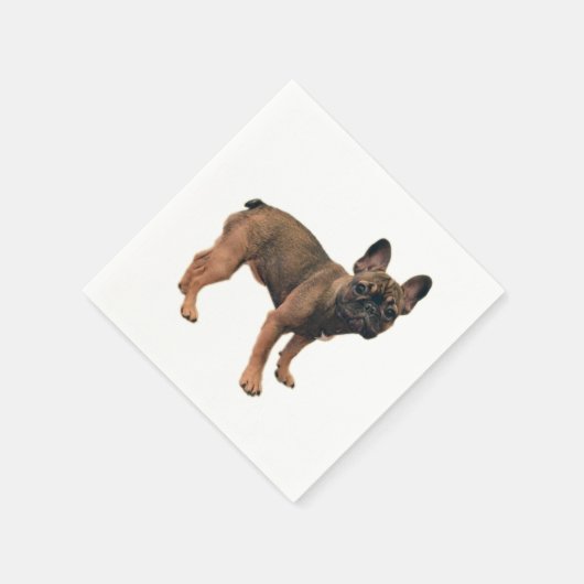 Jong Franse Bulldog met Vossenkleur Servet (Hoek)