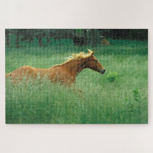 Jong hengst rent door weide legpuzzel (Horizontaal)