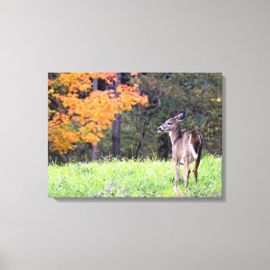 Jong hert in de herfst canvas afdruk (Voorkant)