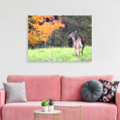 Jong hert in de herfst canvas afdruk (Insitu (Woonkamer))