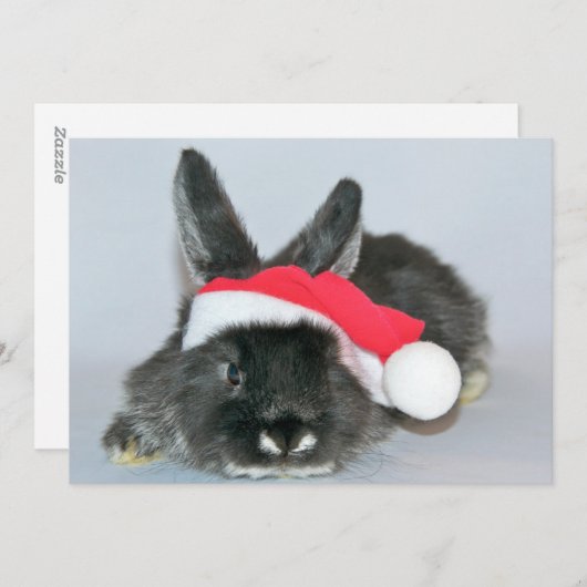 Jong kerstkonijn feestdagenkaart (Voorkant / Achterkant)
