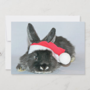 Jong kerstkonijn feestdagenkaart